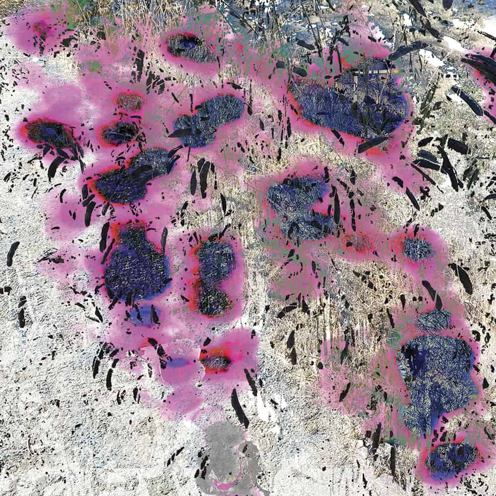 Stranger in Town by Ellen Scobie, Bold artwork in pink and black of circular pattern
